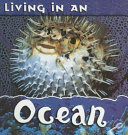 Living in an Ocean cover