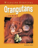 Orangutans in Danger cover