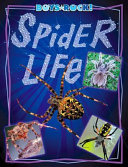 Spider Life cover