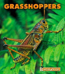 Grasshoppers (New Naturebooks) cover