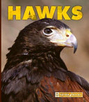 Hawks cover