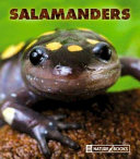 Salamanders (New Naturebooks) cover