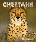Cheetahs (New Naturebooks) cover