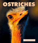 Ostriches (New Naturebooks) cover