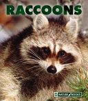 Raccoons (New Naturebooks) cover