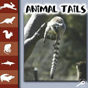 Animal Tails cover