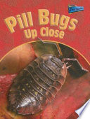 Pill Bugs up Close cover