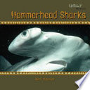 Hammerhead Sharks cover