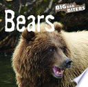 Bears cover