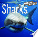 Sharks cover