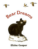 Bear Dreams cover