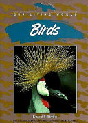Birds cover