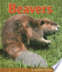 Beavers cover