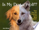 Is My Dog a Wolf? How Your Pet Compares to Its Wild Cousin cover