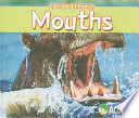 Mouths cover