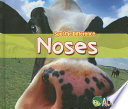 Noses cover