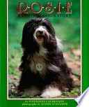Rosie, a Visiting Dog's Story cover