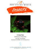 Insects cover