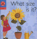 What Size Is It? cover