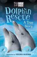Sea Lion cover
