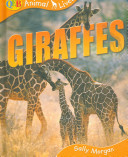 Giraffes cover