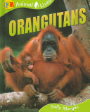 Orangutans cover