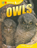 Owls cover