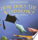 How Does the Wind Blow? cover