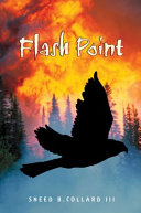 Flash Point cover
