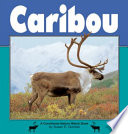 Caribou cover