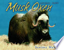 Musk Oxen cover