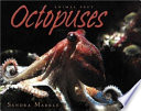 Octopuses cover