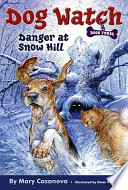 Danger at Snow Hill cover