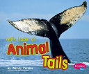Let's Look at Animal Tails cover
