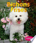 Bichons Frises cover