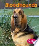 Bloodhounds cover