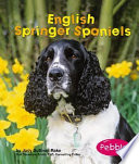 English Springer Spaniels cover