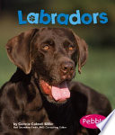 Labradors cover