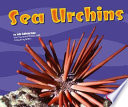 Sea Urchins cover
