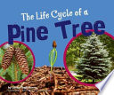 The Life Cycle of a Pine Tree cover