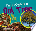 The Life Cycle of an Oak Tree cover