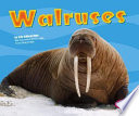 Walruses cover