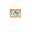 Dolphin's Rescue: The Story of a Pacific White-Sided Dolphin cover