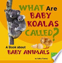 What Are Baby Koalas Called? A Book About Baby Animals cover