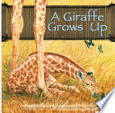 A Giraffe Grows Up cover