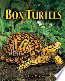 Box Turtles (Lerner) cover