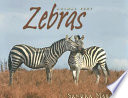 Zebras cover