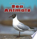 Sea Animals cover