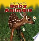 Baby Animals cover