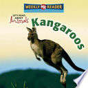 Kangaroos cover